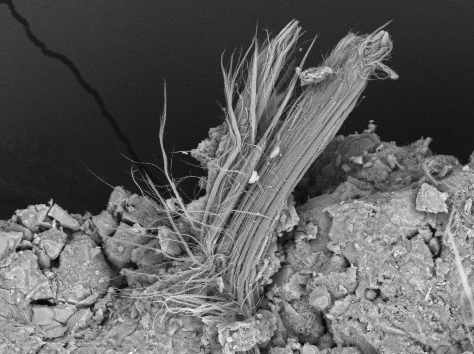 Ringversuche zur Rasterelektronenmikroskopie