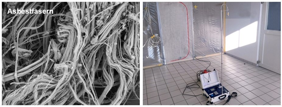 Beispielbilder Faser RLM 2025